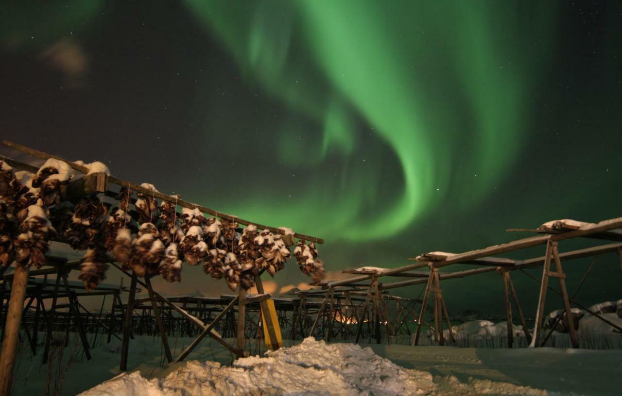 Lofoten - Hoynes Bostad